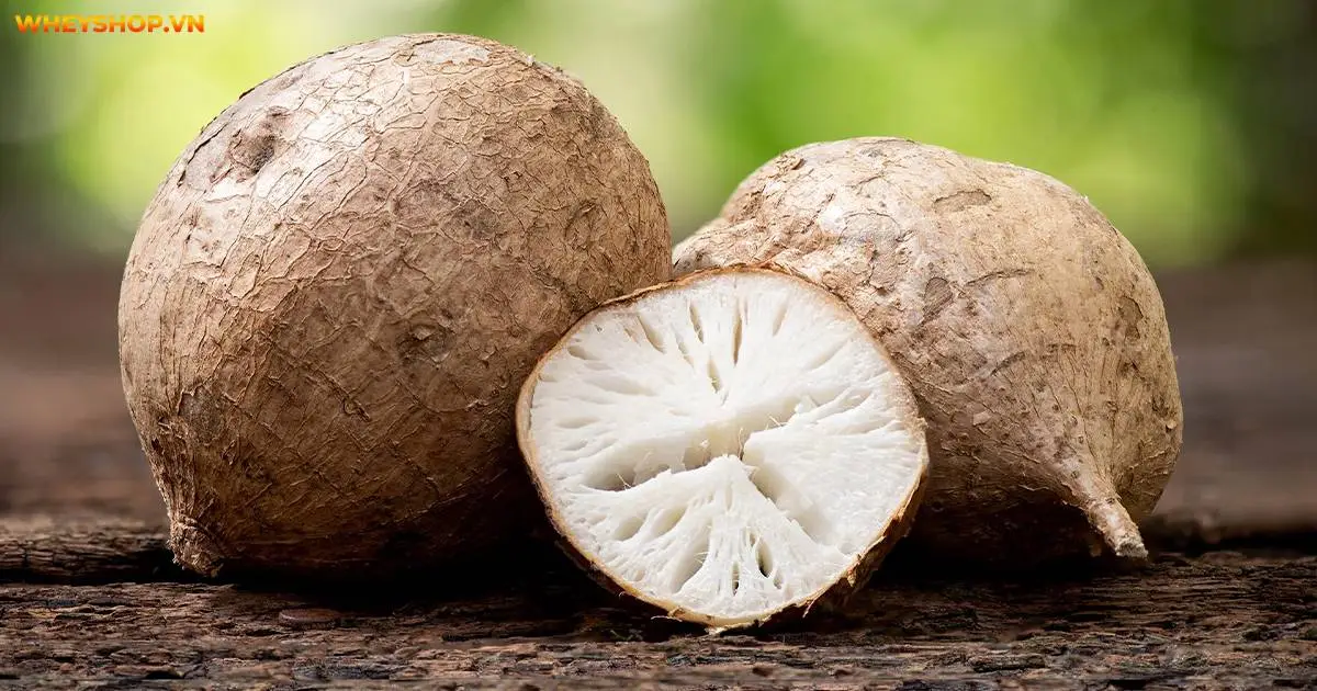 an-gi-de-tang-vong-1-5