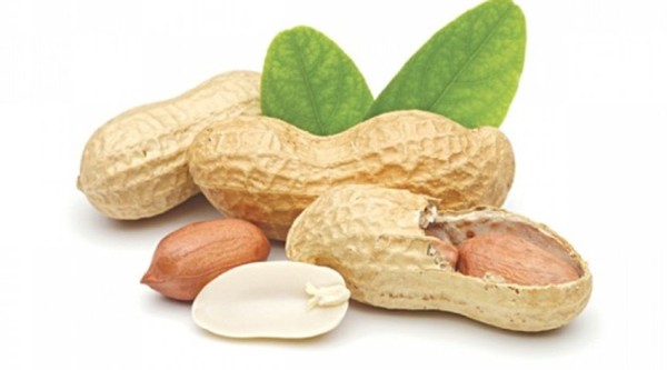 ăn lạc có béo không