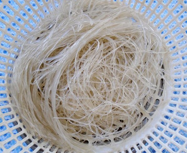 ăn miến có giảm cân không