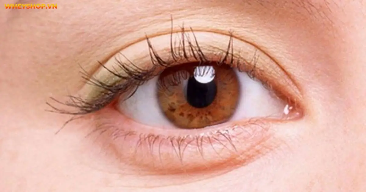 an-mit-co-tac-dung-gi-4