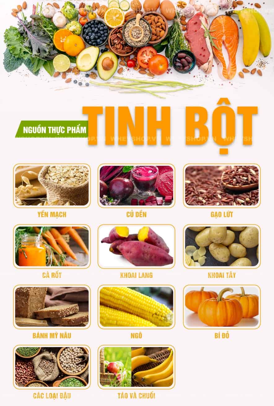 Ăn nhiều tinh bột có tốt không ? Tác hại của việc ăn quá nhiều tinh bột như thế nào ? Tìm hiểu ngay trước khi xem liệu tác hại của việc ăn quá nhiều tinh bột ra sao