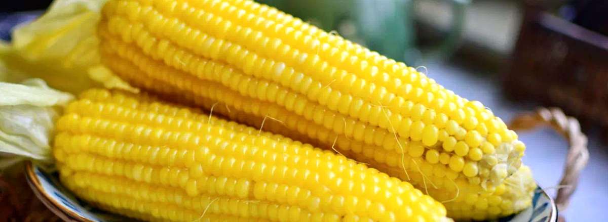 an nhieu tinh bot co tot kong tac hai cua tinh bot ngo