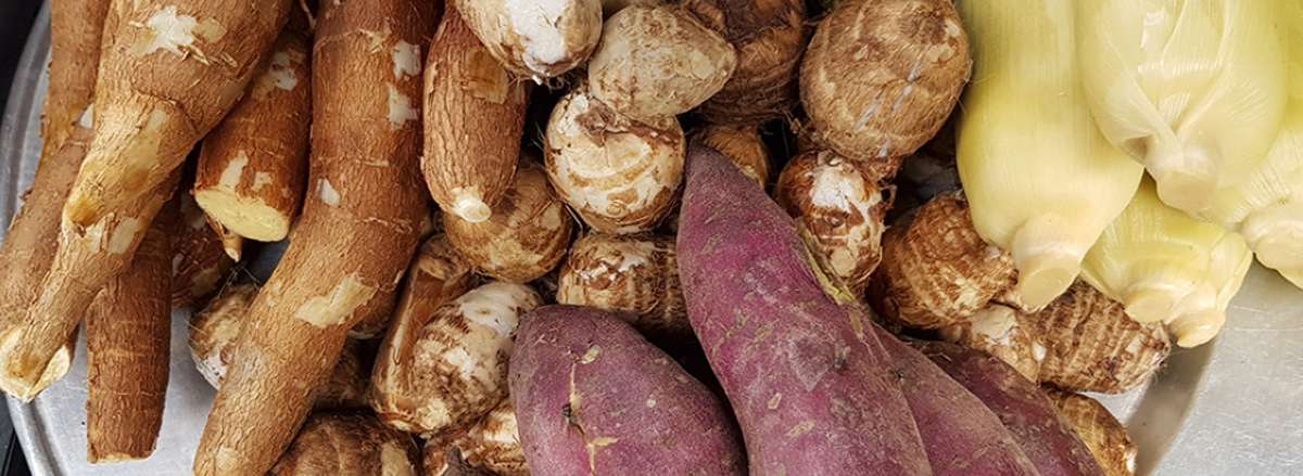 an nhieu tinh bot co tot kong tac hai cua tinh bot tinh bot hap thu cham