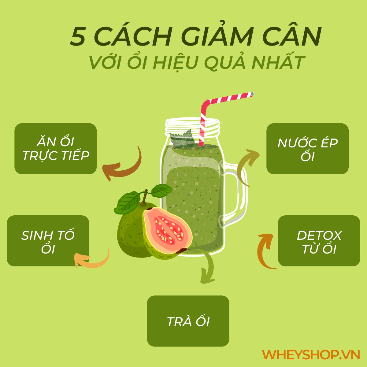 Nếu bạn đang thắc mắc ăn ổi có giảm cân không thì hãy cùng WheyShop giải đáp thắc mắc qua bài viết ngay sau đây nhé...