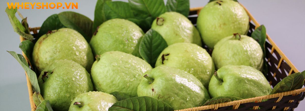 Nếu bạn đang thắc mắc ăn ổi có giảm cân không thì hãy cùng WheyShop giải đáp thắc mắc qua bài viết ngay sau đây nhé...