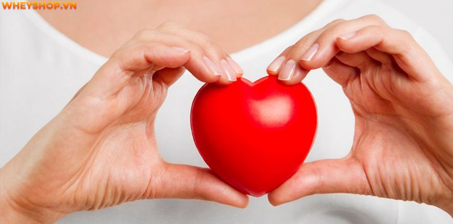 Sầu riêng là loại trái cây được hầu hết mọi người tiêu dùng. Loại quả này có mùi hơi nồng, vị ngọt dịu và chứa nhiều chất béo. Vậy ăn sầu riêng có béo không...