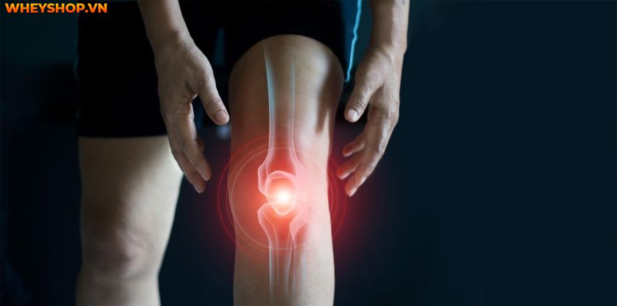 Sầu riêng là loại trái cây được hầu hết mọi người tiêu dùng. Loại quả này có mùi hơi nồng, vị ngọt dịu và chứa nhiều chất béo. Vậy ăn sầu riêng có béo không...