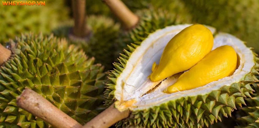 Sầu riêng là loại trái cây được hầu hết mọi người tiêu dùng. Loại quả này có mùi hơi nồng, vị ngọt dịu và chứa nhiều chất béo. Vậy ăn sầu riêng có béo không...