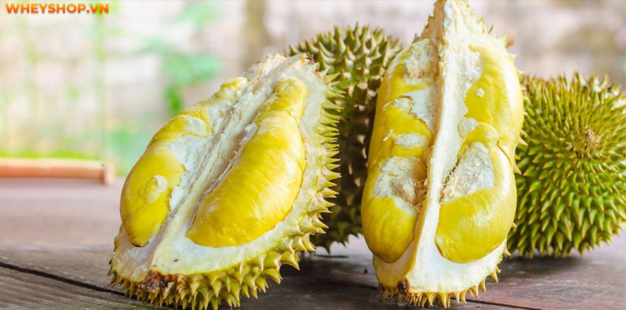 Sầu riêng là loại trái cây được hầu hết mọi người tiêu dùng. Loại quả này có mùi hơi nồng, vị ngọt dịu và chứa nhiều chất béo. Vậy ăn sầu riêng có béo không...