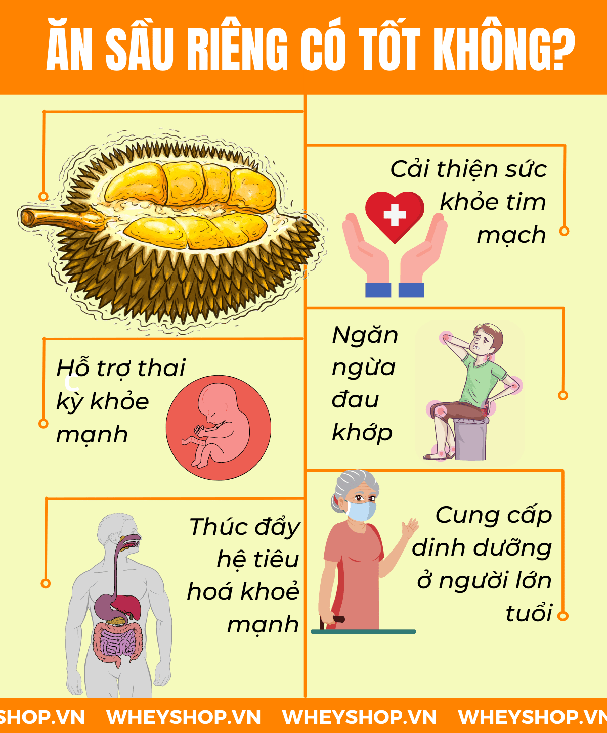 Sầu riêng là loại trái cây được hầu hết mọi người tiêu dùng. Loại quả này có mùi hơi nồng, vị ngọt dịu và chứa nhiều chất béo. Vậy ăn sầu riêng có béo không...