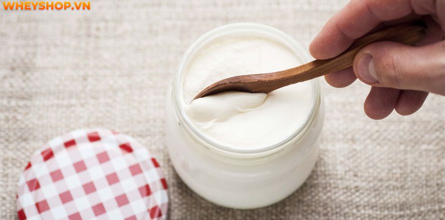 Nếu bạn đang băn khoăn ăn sữa chua có tăng cân không thì hãy cùng WheyShop giải đáp thắc mắc ăn sữa chua có tăng cân không qua bài viết sau đây...