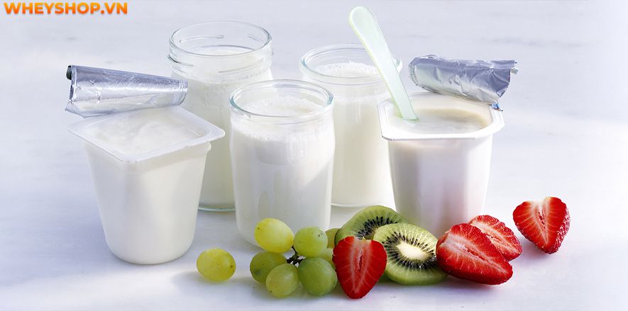 Nếu bạn đang băn khoăn ăn sữa chua có tăng cân không thì hãy cùng WheyShop giải đáp thắc mắc ăn sữa chua có tăng cân không qua bài viết sau đây...