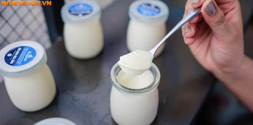 Nếu bạn đang băn khoăn ăn sữa chua có tăng cân không thì hãy cùng WheyShop giải đáp thắc mắc ăn sữa chua có tăng cân không qua bài viết sau đây...