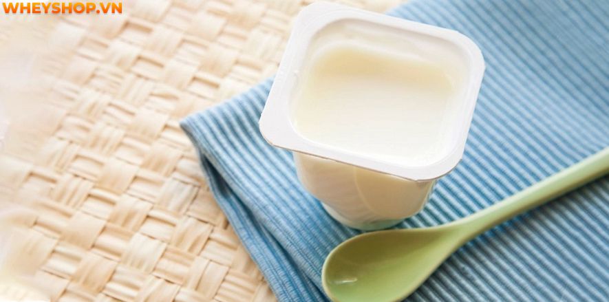 Nếu bạn đang băn khoăn ăn sữa chua có tăng cân không thì hãy cùng WheyShop giải đáp thắc mắc ăn sữa chua có tăng cân không qua bài viết sau đây...