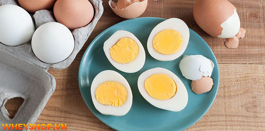 tập gym có nên ăn lòng đỏ trứng gà không