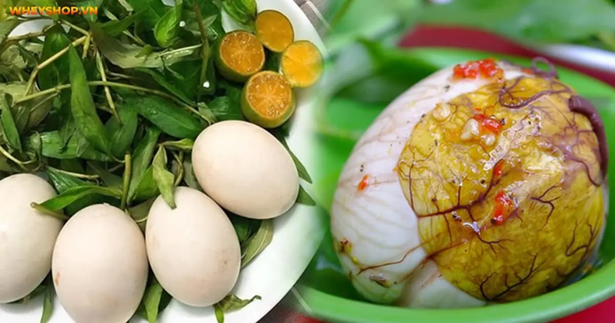 an-trung-ga-lon-co-tac-dung-gi-5