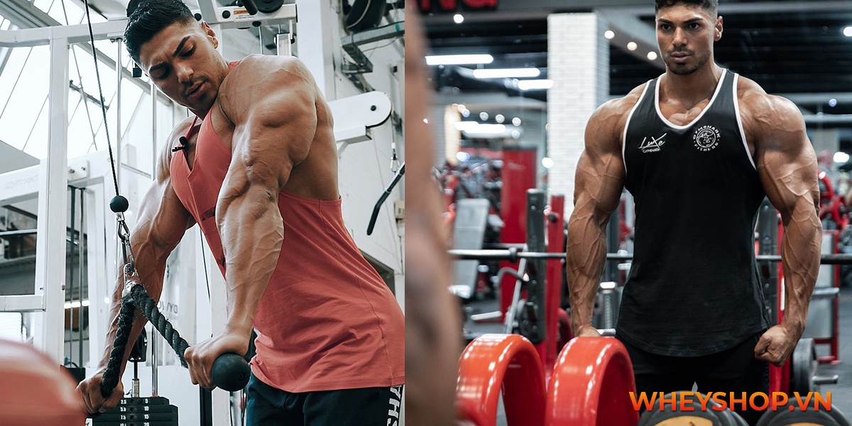 Andrei Deiu là vận động viên thể hình tài năng hàng đầu của thế giới. Cùng tìm hiểu Andrei Deiu là ai và những tin tức, hình ảnh mới nhất về anh ấy...