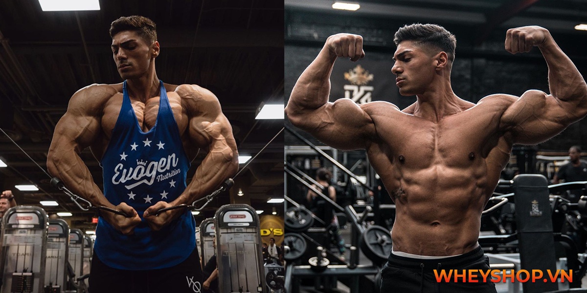 Andrei Deiu là vận động viên thể hình tài năng hàng đầu của thế giới. Cùng tìm hiểu Andrei Deiu là ai và những tin tức, hình ảnh mới nhất về anh ấy...