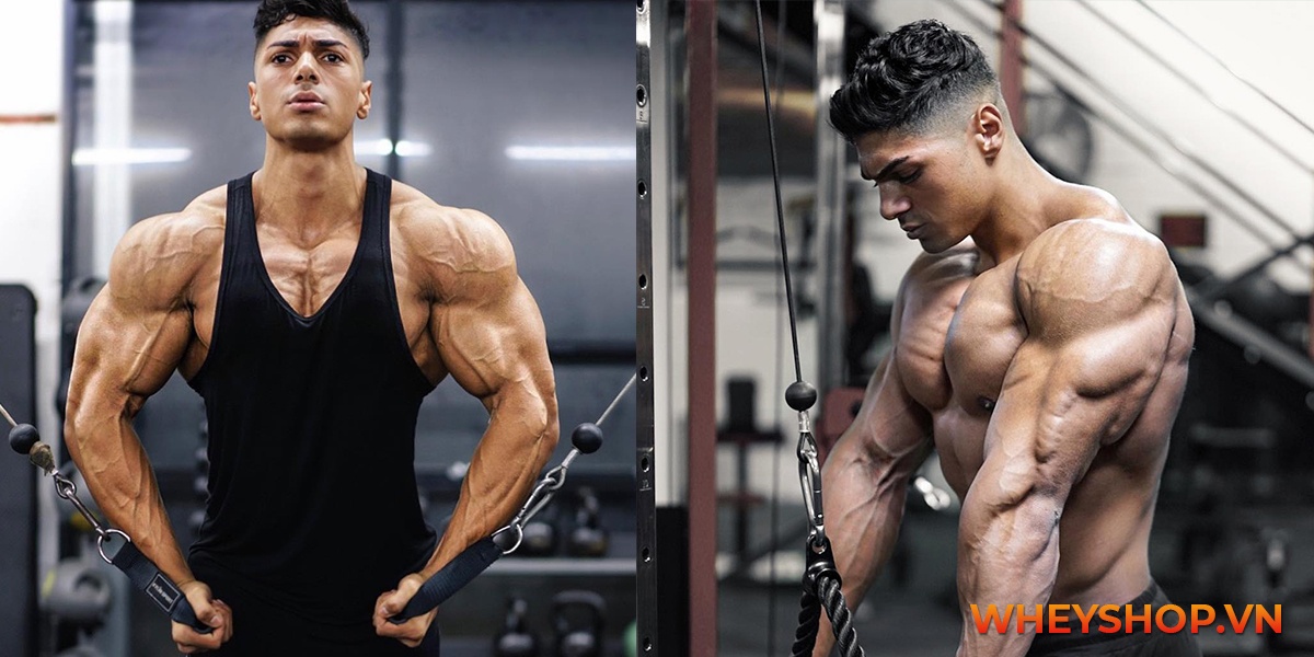 Andrei Deiu là vận động viên thể hình tài năng hàng đầu của thế giới. Cùng tìm hiểu Andrei Deiu là ai và những tin tức, hình ảnh mới nhất về anh ấy...