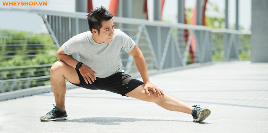 Bạn thường xuyên bị căng cứng cơ, đau cơ và nhức xương sau mỗi buổi tập chạy, bạn đã giãn cơ sau khi chạy đúng cách chưa? Hãy cùng WheyShop kiểm chứng điều...
