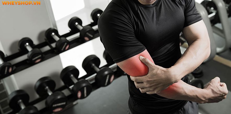 Bạn thường xuyên bị căng cứng cơ, đau cơ và nhức xương sau mỗi buổi tập chạy, bạn đã giãn cơ sau khi chạy đúng cách chưa? Hãy cùng WheyShop kiểm chứng điều...