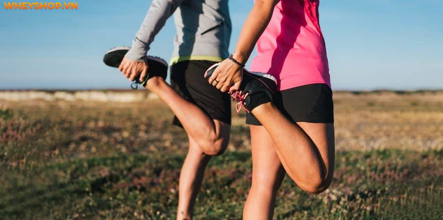 Bạn thường xuyên bị căng cứng cơ, đau cơ và nhức xương sau mỗi buổi tập chạy, bạn đã giãn cơ sau khi chạy đúng cách chưa? Hãy cùng WheyShop kiểm chứng điều...