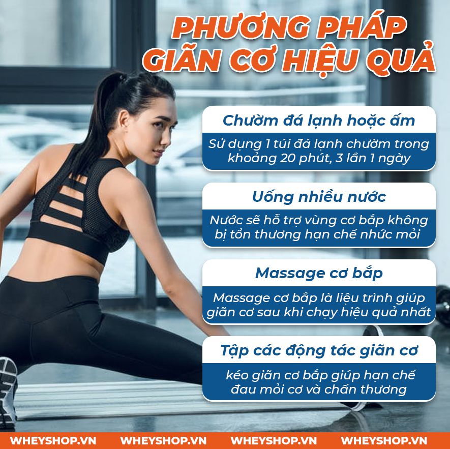 Bạn thường xuyên bị căng cứng cơ, đau cơ và nhức xương sau mỗi buổi tập chạy, bạn đã giãn cơ sau khi chạy đúng cách chưa? Hãy cùng WheyShop kiểm chứng điều...