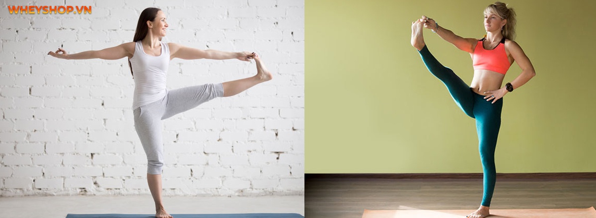 ashtanga yoga là gì ?là thắc mắc của rất nhiều bạn đọc . Trong bài viết này Wheyshop sẽ giúp bạn đọc hiểu rõ hơn về hình thức tập luyện yoga "hot hit" này nhé.