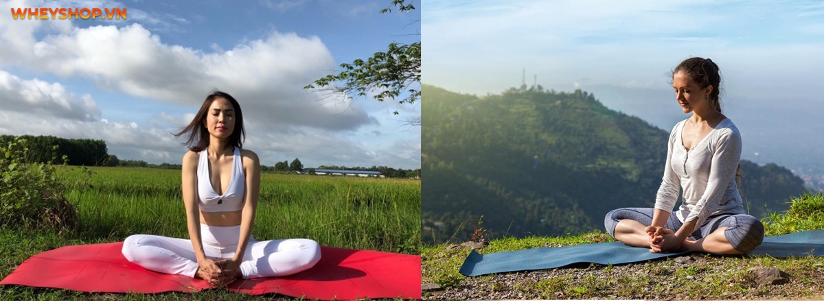 ashtanga yoga là gì ?là thắc mắc của rất nhiều bạn đọc . Trong bài viết này Wheyshop sẽ giúp bạn đọc hiểu rõ hơn về hình thức tập luyện yoga "hot hit" này nhé.