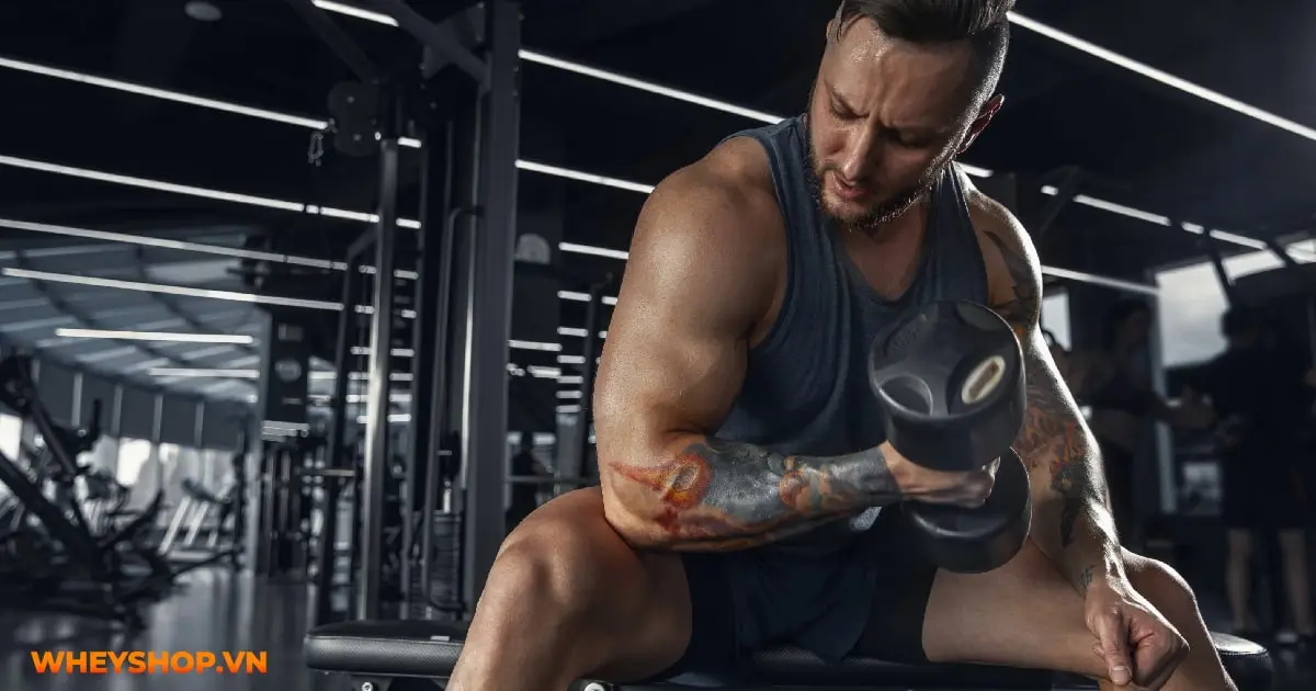 atp-la-gi-tam-quan-trong-cua-atp-doi-voi-nguoi-tap-the-hinh-02-min