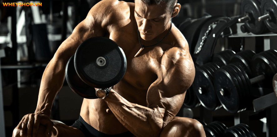 Cẳng tay là phần cơ khó phát triển,đòi hỏi nhiều cố gắng cũng như lựa chọn bài tập cẳng tay phù hợp.Tham khảo ngay 8 bài tập cẳng tay hiệu quả nhất qua bài viết