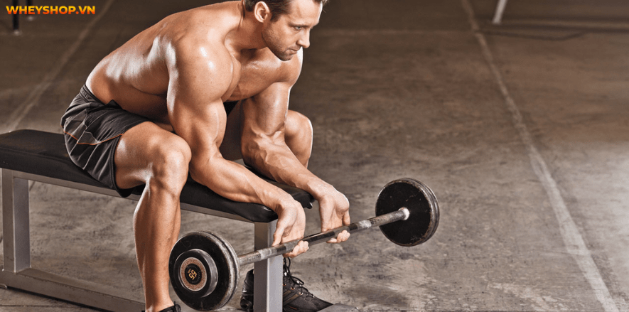 Cẳng tay là phần cơ khó phát triển,đòi hỏi nhiều cố gắng cũng như lựa chọn bài tập cẳng tay phù hợp.Tham khảo ngay 8 bài tập cẳng tay hiệu quả nhất qua bài viết