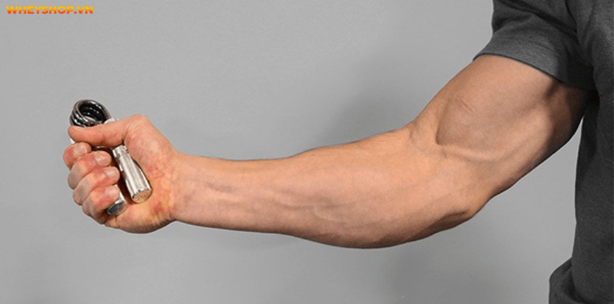 Cẳng tay là phần cơ khó phát triển,đòi hỏi nhiều cố gắng cũng như lựa chọn bài tập cẳng tay phù hợp.Tham khảo ngay 8 bài tập cẳng tay hiệu quả nhất qua bài viết