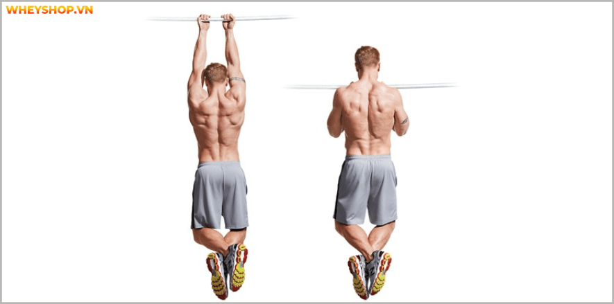 Cẳng tay là phần cơ khó phát triển,đòi hỏi nhiều cố gắng cũng như lựa chọn bài tập cẳng tay phù hợp.Tham khảo ngay 8 bài tập cẳng tay hiệu quả nhất qua bài viết