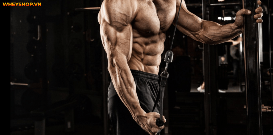 Cẳng tay là phần cơ khó phát triển,đòi hỏi nhiều cố gắng cũng như lựa chọn bài tập cẳng tay phù hợp.Tham khảo ngay 8 bài tập cẳng tay hiệu quả nhất qua bài viết
