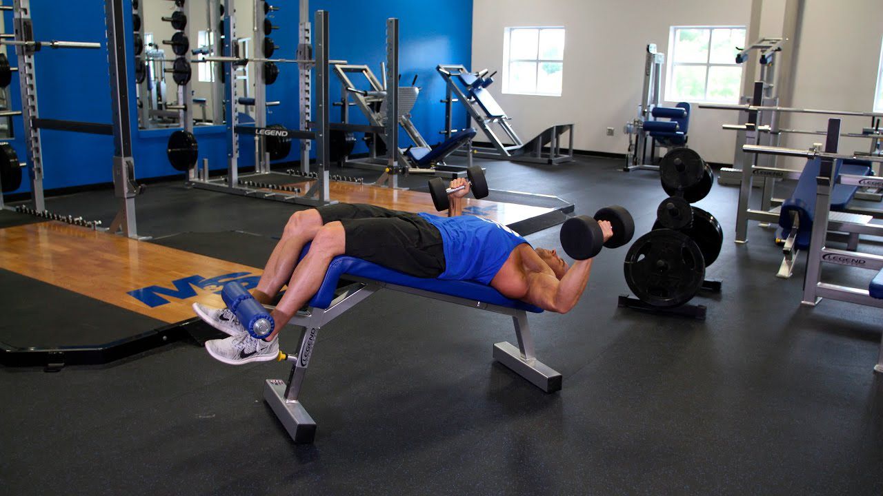 bai tap cat net nguc duoi wheyshop vn