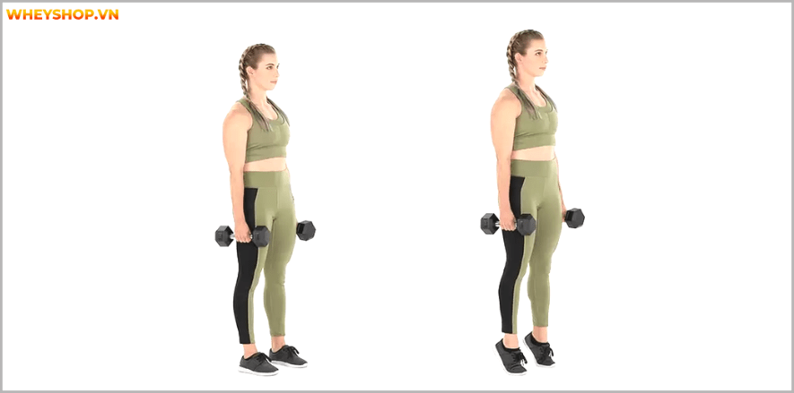 Tổng hợp 25 bài tập chân mông dành cho nữ tại phòng gym tốt nhất mọi thời đại, giúp bạn sở hữu vòng ba căng tròn và đôi chân thon gọn nhanh chóng