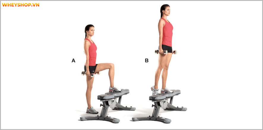 Tổng hợp 25 bài tập chân mông dành cho nữ tại phòng gym tốt nhất mọi thời đại, giúp bạn sở hữu vòng ba căng tròn và đôi chân thon gọn nhanh chóng