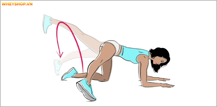 Tổng hợp 25 bài tập chân mông dành cho nữ tại phòng gym tốt nhất mọi thời đại, giúp bạn sở hữu vòng ba căng tròn và đôi chân thon gọn nhanh chóng