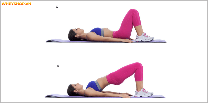 Tổng hợp 25 bài tập chân mông dành cho nữ tại phòng gym tốt nhất mọi thời đại, giúp bạn sở hữu vòng ba căng tròn và đôi chân thon gọn nhanh chóng