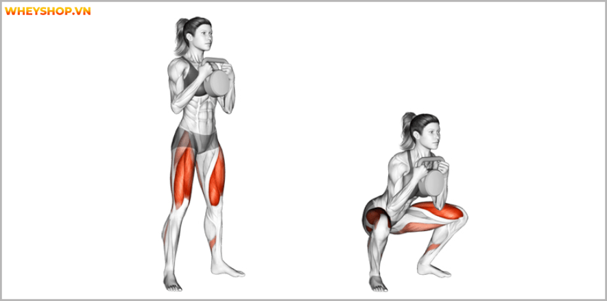 Tổng hợp 25 bài tập chân mông dành cho nữ tại phòng gym tốt nhất mọi thời đại, giúp bạn sở hữu vòng ba căng tròn và đôi chân thon gọn nhanh chóng