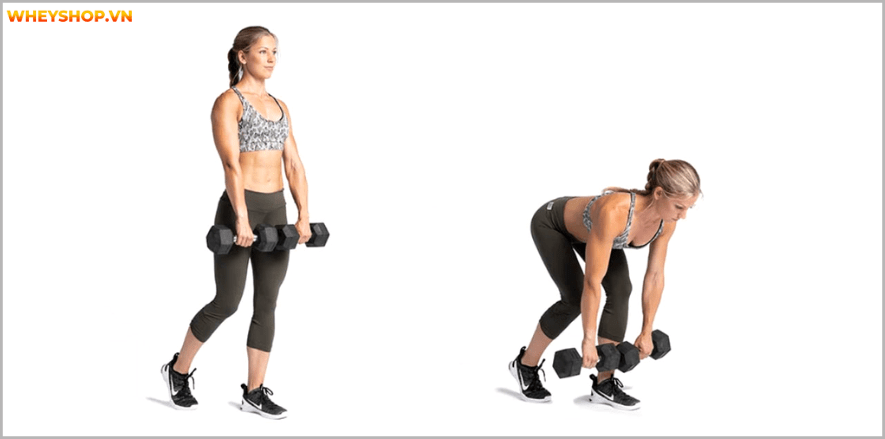 Tổng hợp 25 bài tập chân mông dành cho nữ tại phòng gym tốt nhất mọi thời đại, giúp bạn sở hữu vòng ba căng tròn và đôi chân thon gọn nhanh chóng