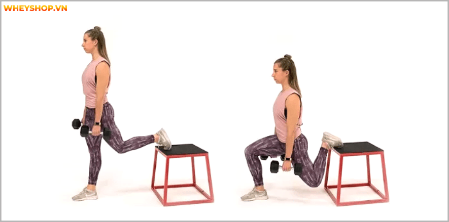 Tổng hợp 25 bài tập chân mông dành cho nữ tại phòng gym tốt nhất mọi thời đại, giúp bạn sở hữu vòng ba căng tròn và đôi chân thon gọn nhanh chóng