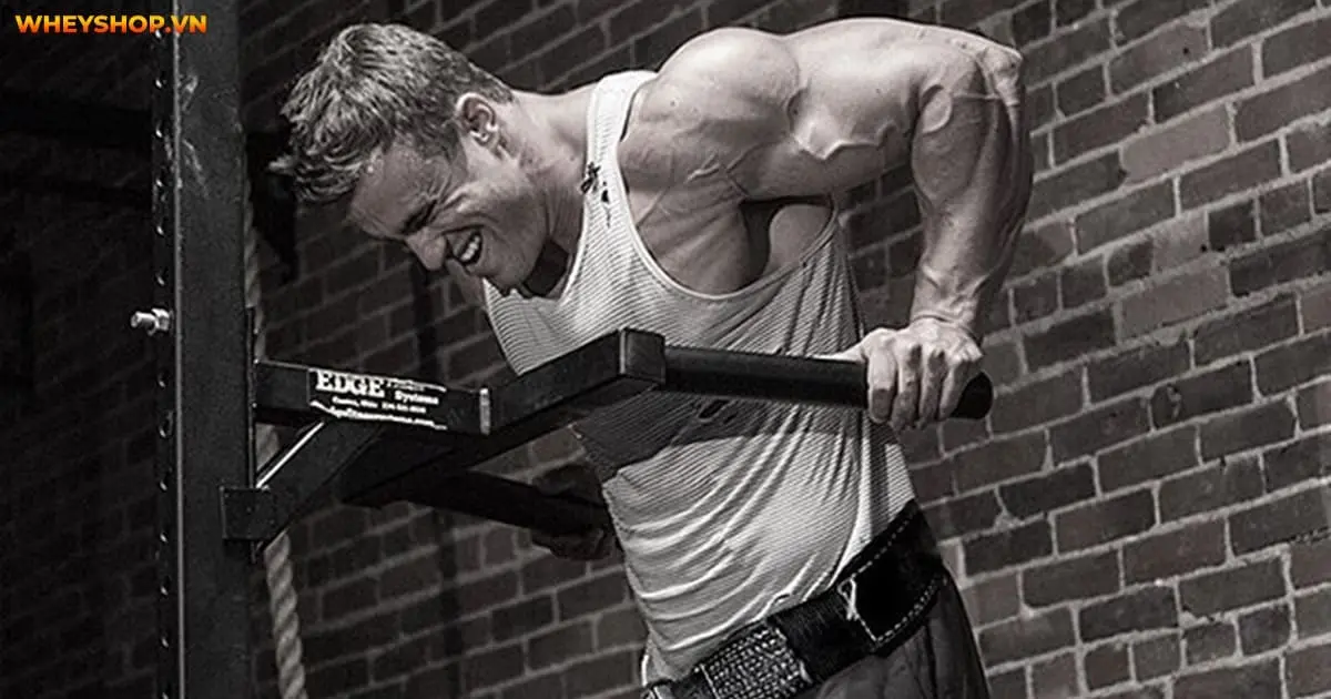 bai-tap-chest-dips-la-gi-3