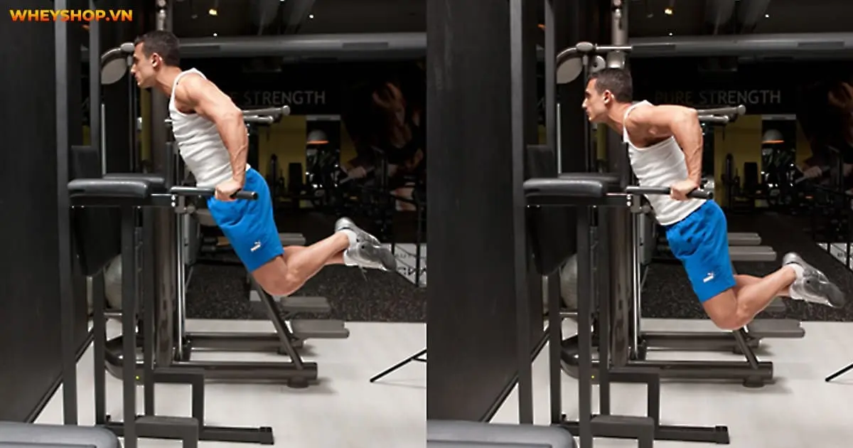 bai-tap-chest-dips-la-gi-3