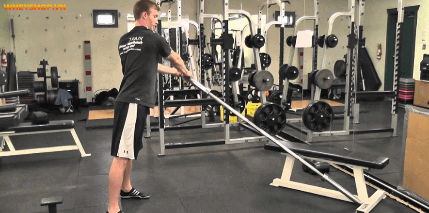 Bạn muốn sỡ hữu cơ bụng rắn chắc cùng múi cơ hiện rõ, chắc chắn bạn không nên bỏ qua các bài tập cơ liên sườn. Cùng WheyShop tìm hiểu bài tập cơ liên sườn...