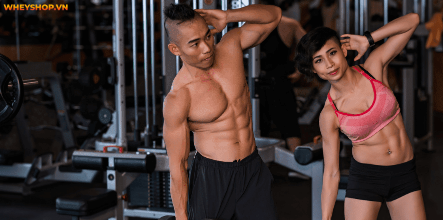 Bạn muốn sỡ hữu cơ bụng rắn chắc cùng múi cơ hiện rõ, chắc chắn bạn không nên bỏ qua các bài tập cơ liên sườn. Cùng WheyShop tìm hiểu bài tập cơ liên sườn...