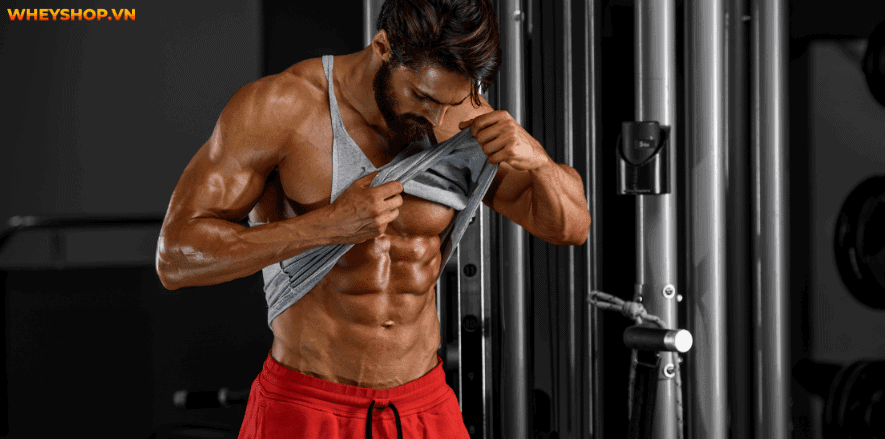 Bạn muốn sỡ hữu cơ bụng rắn chắc cùng múi cơ hiện rõ, chắc chắn bạn không nên bỏ qua các bài tập cơ liên sườn. Cùng WheyShop tìm hiểu bài tập cơ liên sườn...