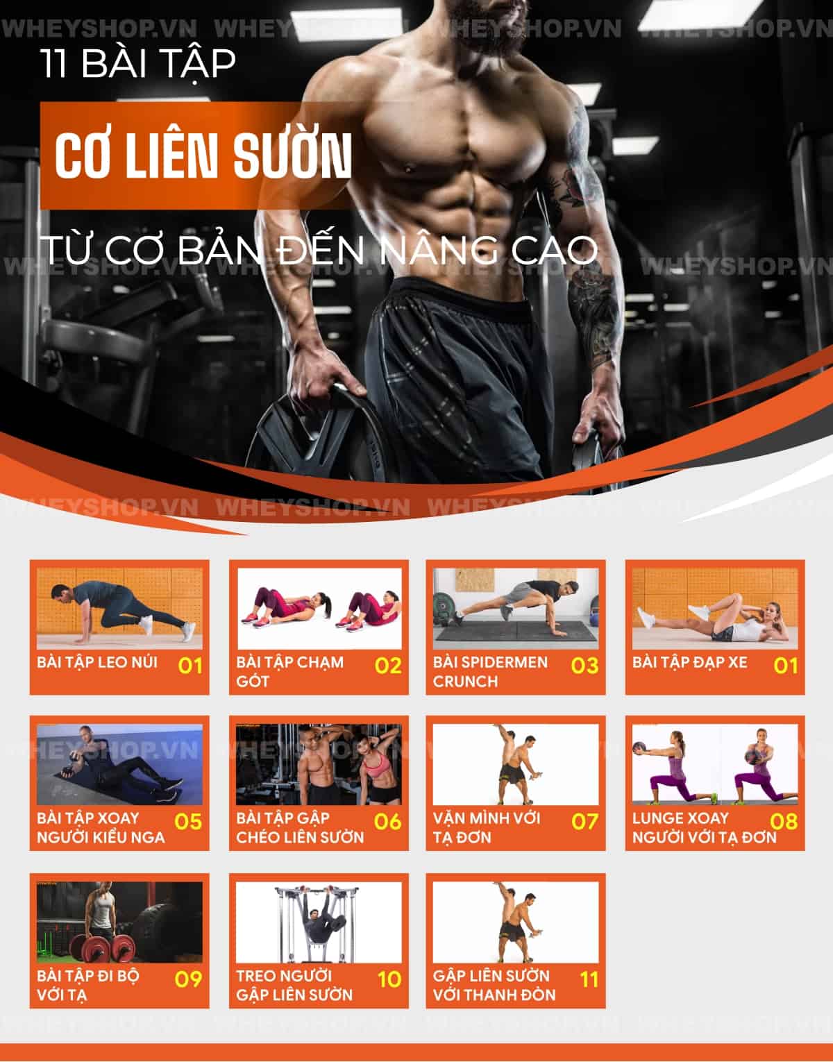 Bạn muốn sỡ hữu cơ bụng rắn chắc cùng múi cơ hiện rõ, chắc chắn bạn không nên bỏ qua các bài tập cơ liên sườn. Cùng WheyShop tìm hiểu bài tập cơ liên sườn...