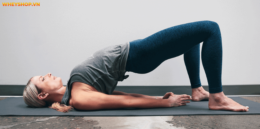 Trào lưu "hông quả táo" nổi lên khiến chị em nào cũng say mê và mong muốn sở hữu. WheyShop sẽ bật mí cách tạo mông quả táo ngay dưới đây...